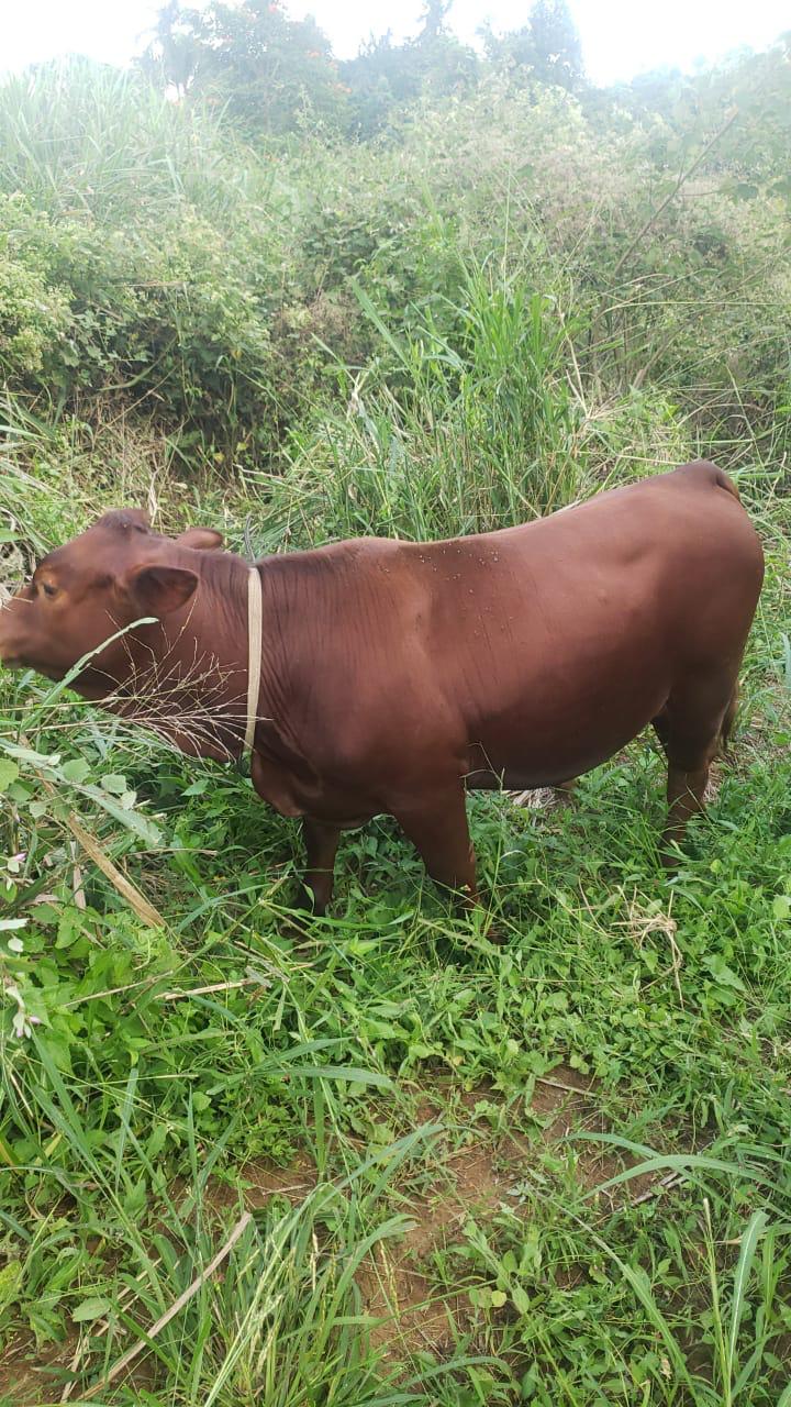 This is farmer testing blog This is farmer testing blog